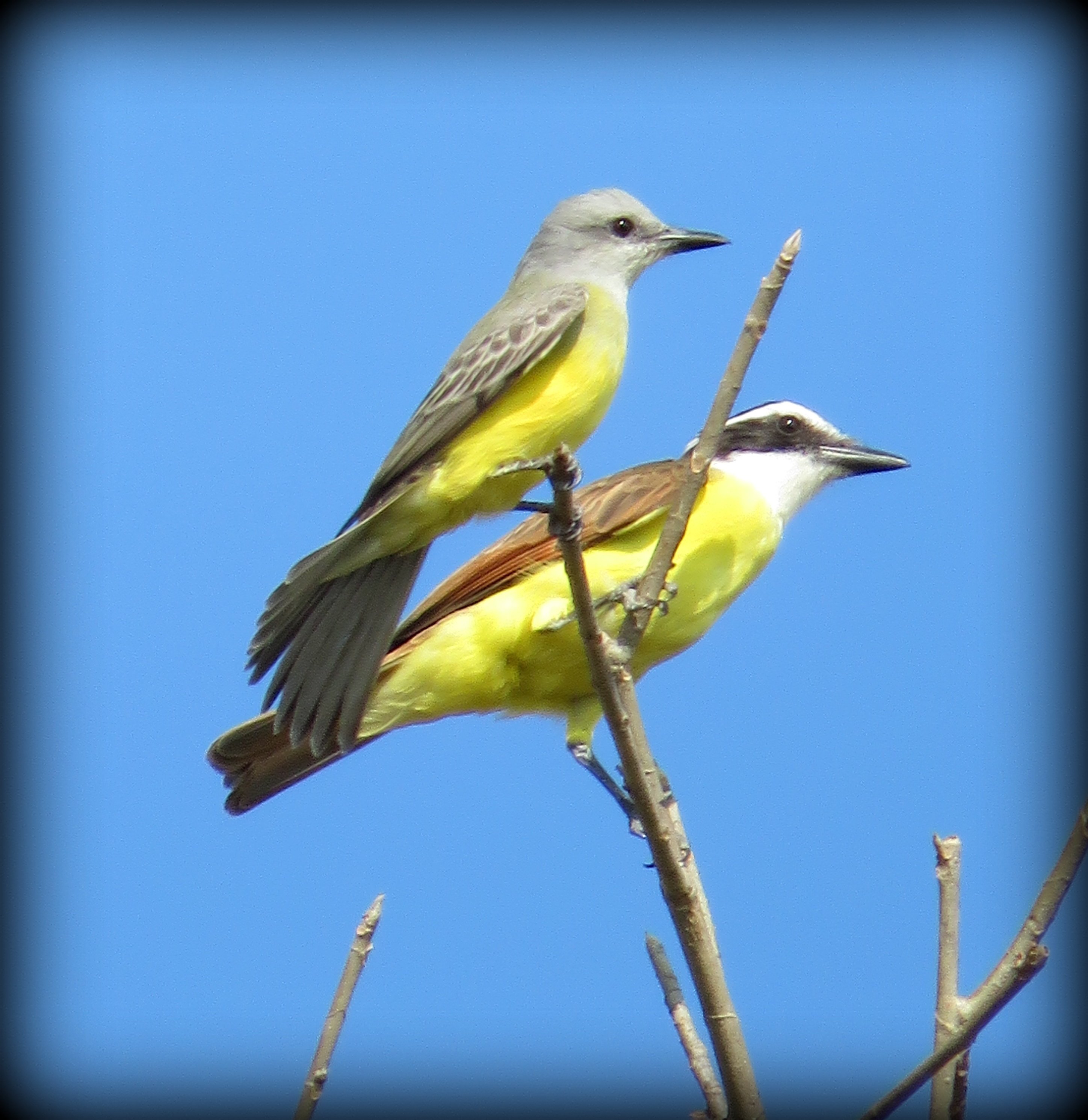 SamaraChilloutLodge-酒店景观