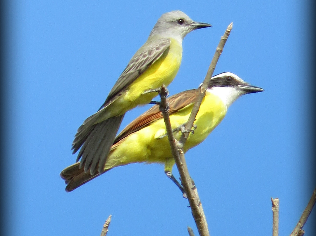 SamaraChilloutLodge主图