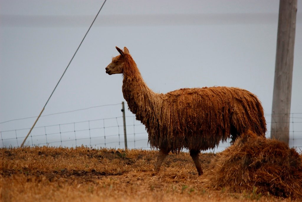 Points South By The Sea主图