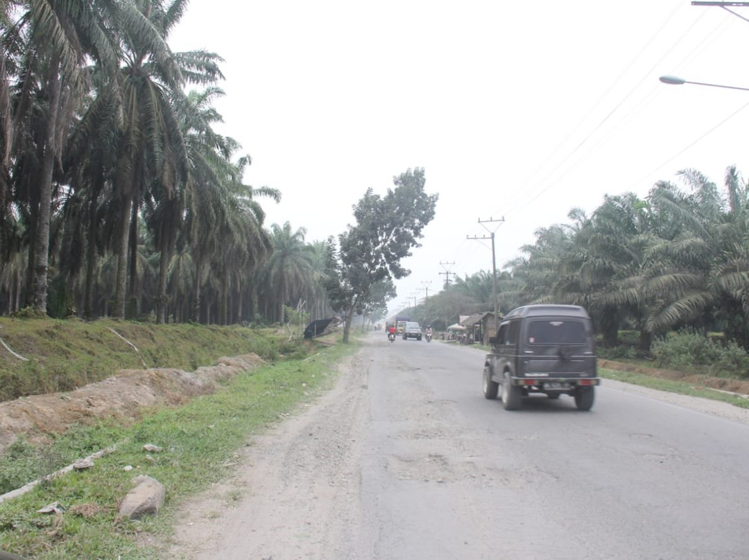 Sumatra Tour & Travel-武吉拉旺必去景点