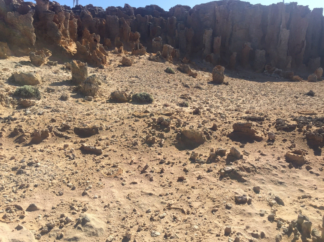 Enchanted Forest-Cape Bridgewater必去景点