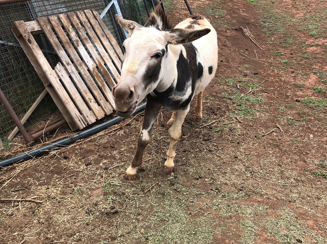 Taralga Wildlife Park-Taralga必去景点