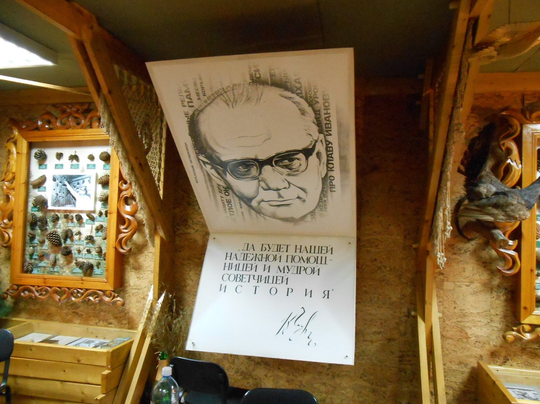 V.A. Chivilikhin House Museum景点图片