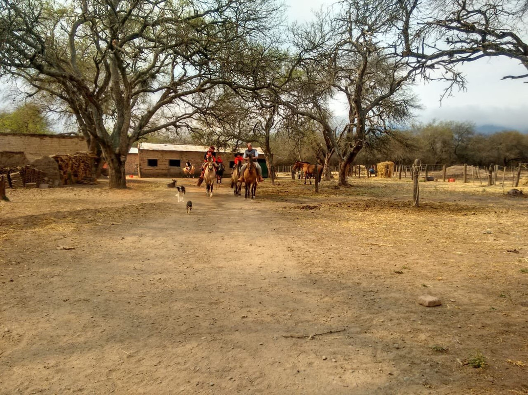 Encanto Salteno-萨尔塔必去景点