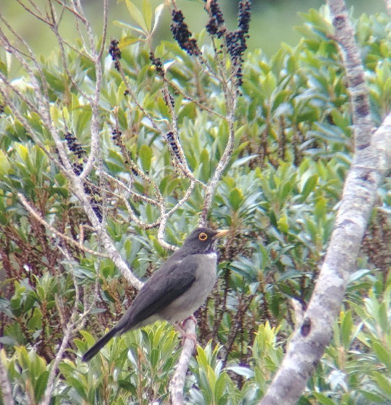 Costa Rica Wild Tours景点图片