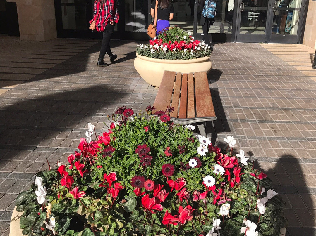 Valencia Town Center-圣克拉丽塔必去景点