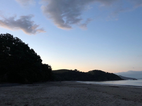 Tawhitokino Regional Park-奥克兰必去景点