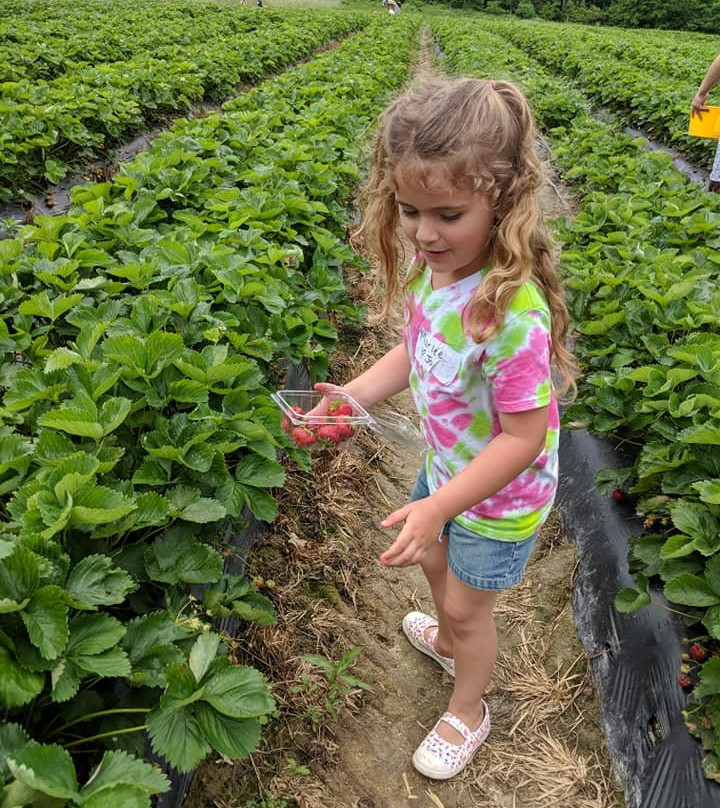 Sunset Berry Farm-Alderson必去景点