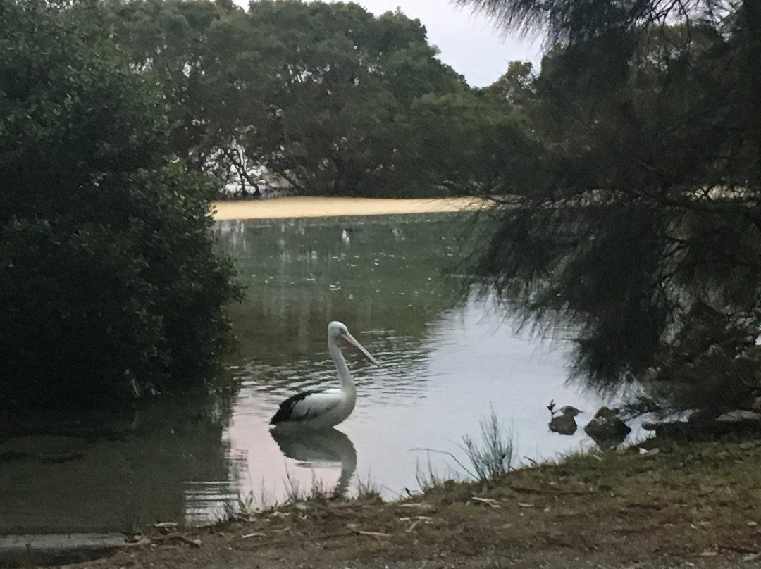Narrawallee Beach-Narrawallee必去景点