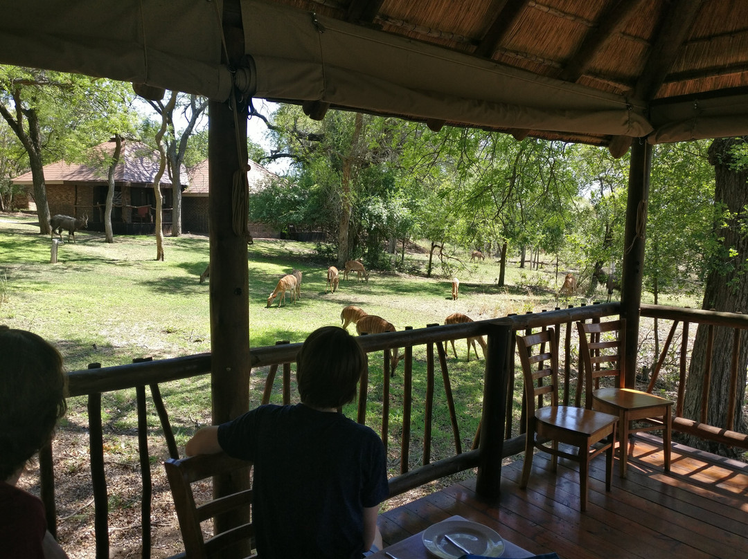 Idube Game Reserve-萨比沙禁猎区必去景点