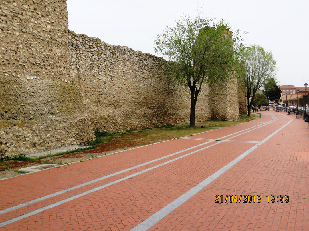 Muralla de Olmeda景点图片