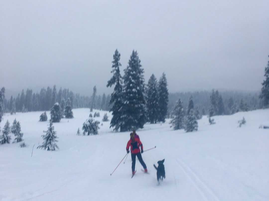 Bear Basin Nordic Center-McCall必去景点
