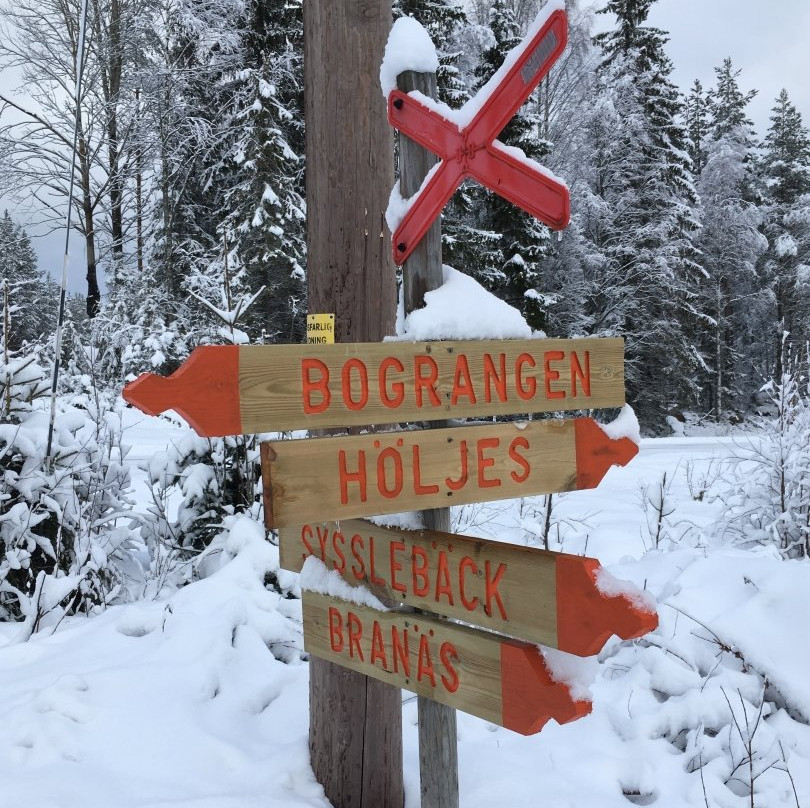 Snow Scooter Tour Sweden-Torsby必去景点