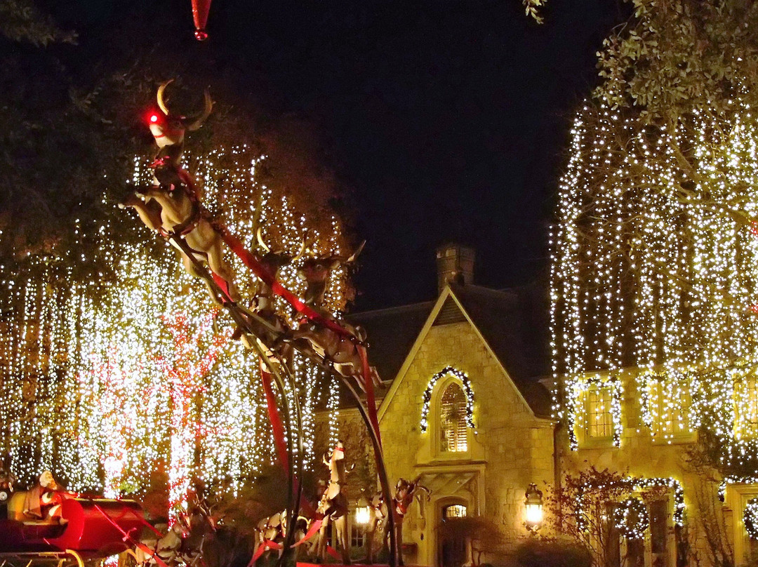 Dallas by Chocolate Tours-达拉斯必去景点