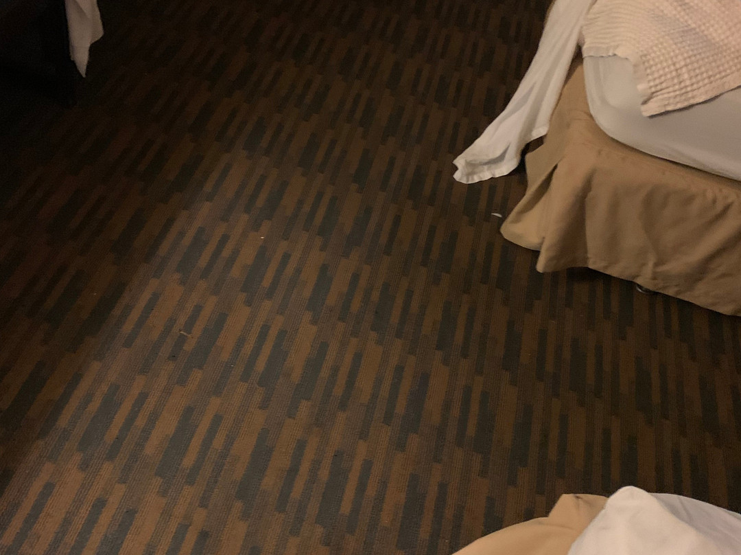 总督府酒店主图