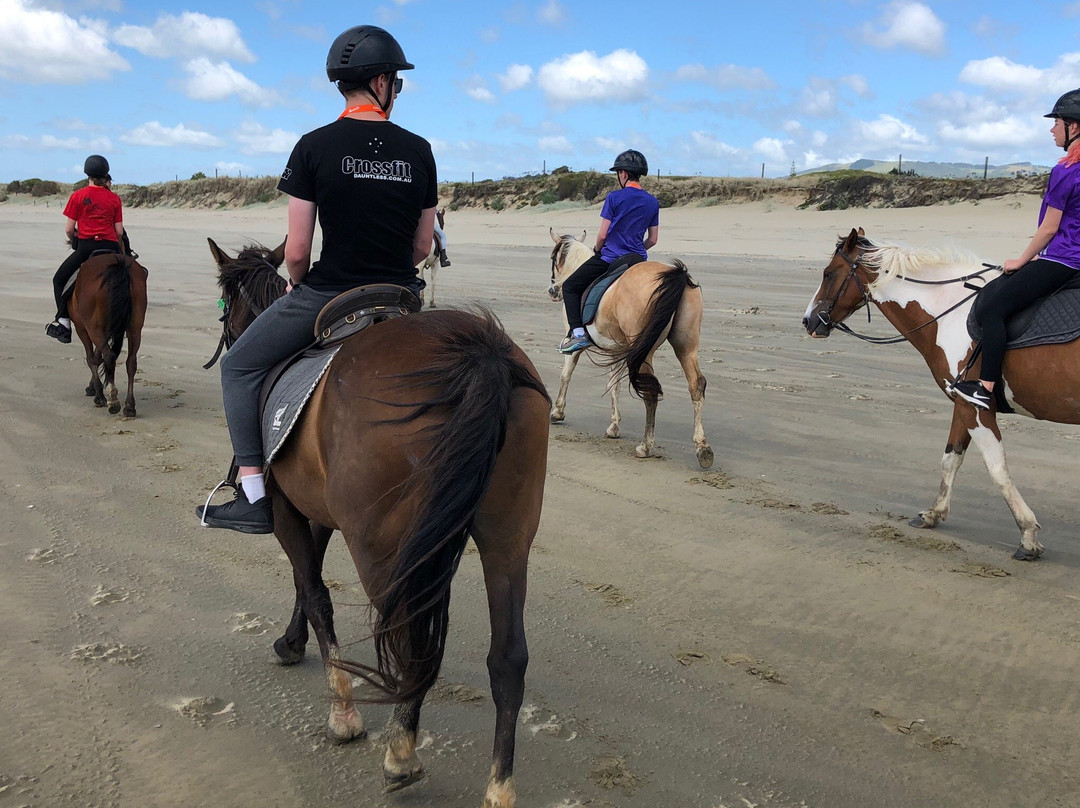 Ahipara Horse Treks-Ahipara必去景点