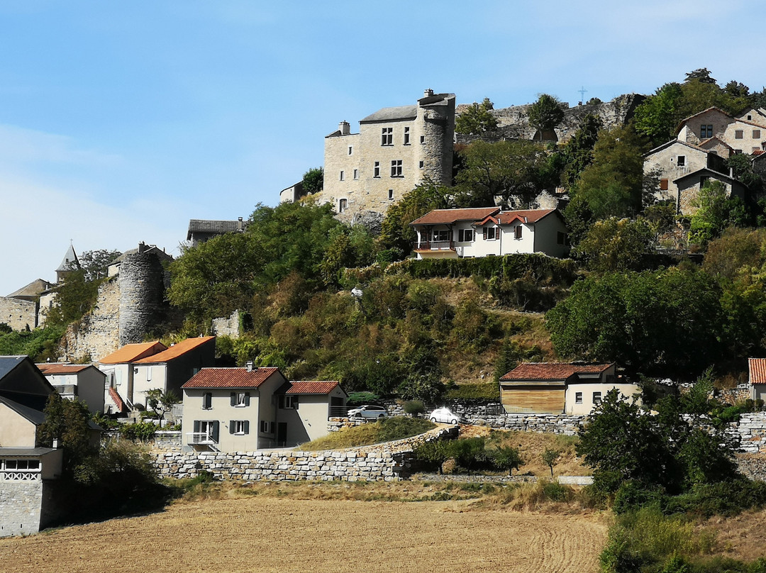 Camping Les Cerisiers à Compeyre
