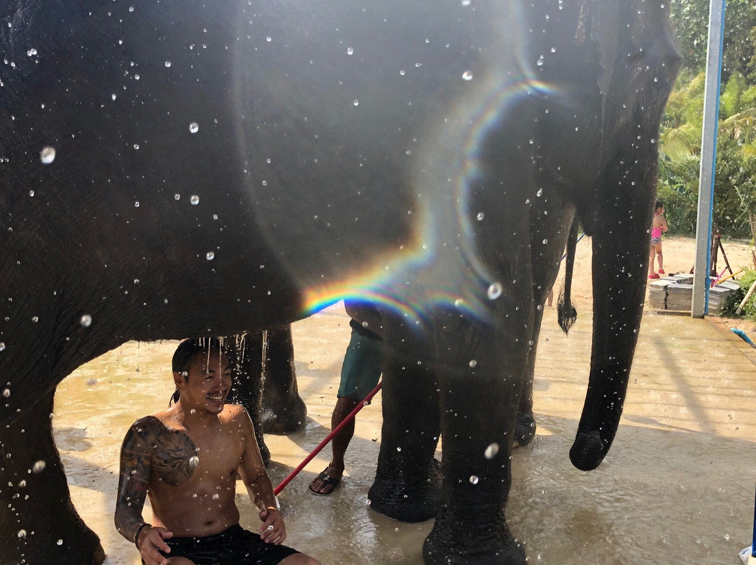 Elephant Care Park​ Phuket​景点图片