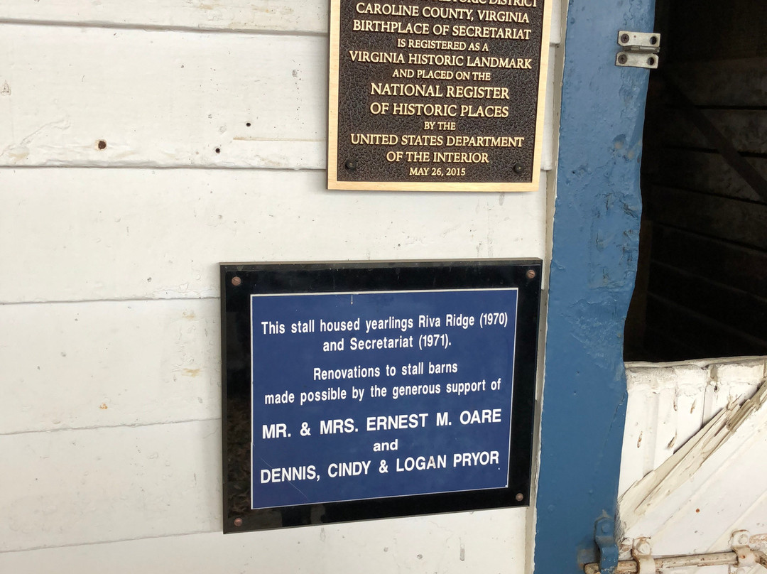 Meadow Event Park-多斯韦尔必去景点