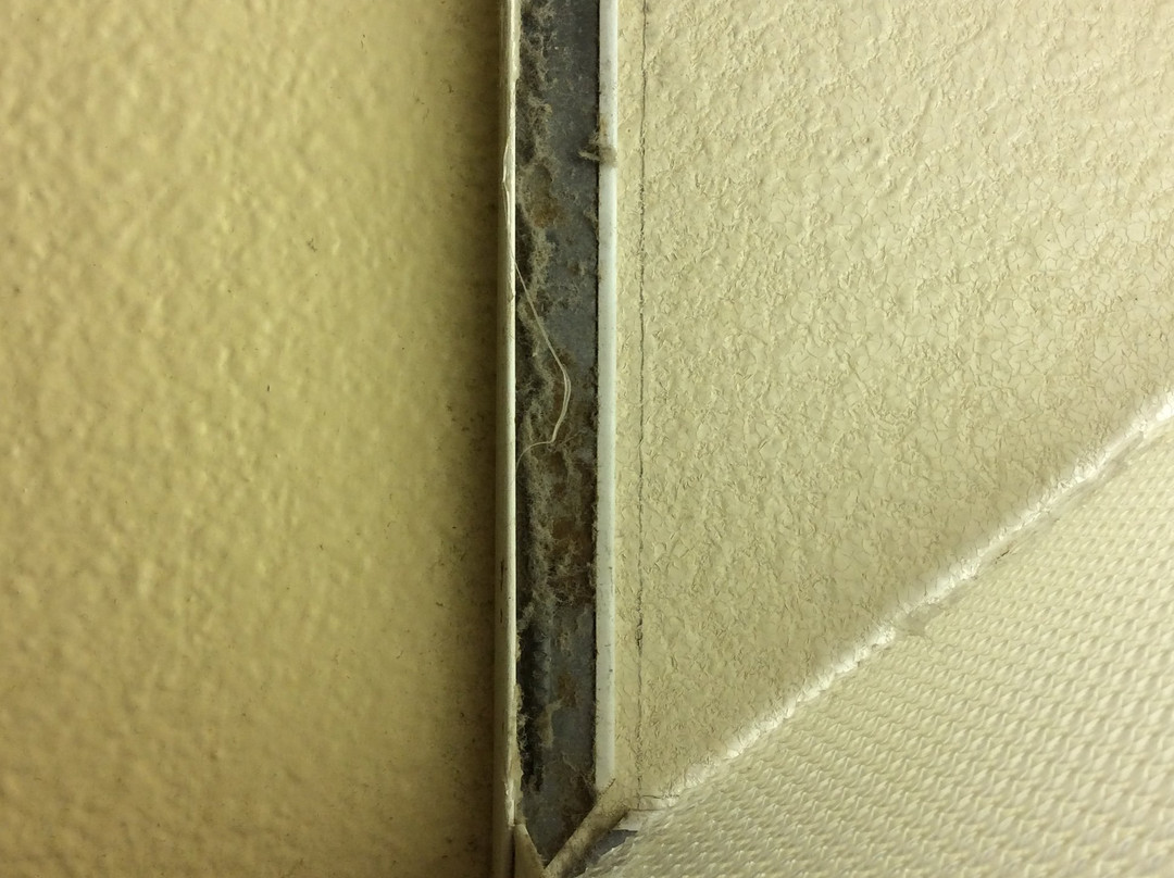 Indian Palms Vacation Club主图