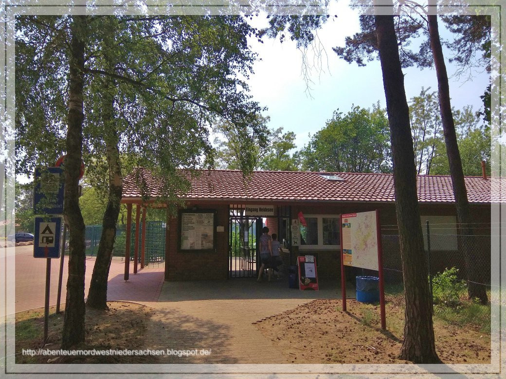 Heidesee Holdorf景点图片