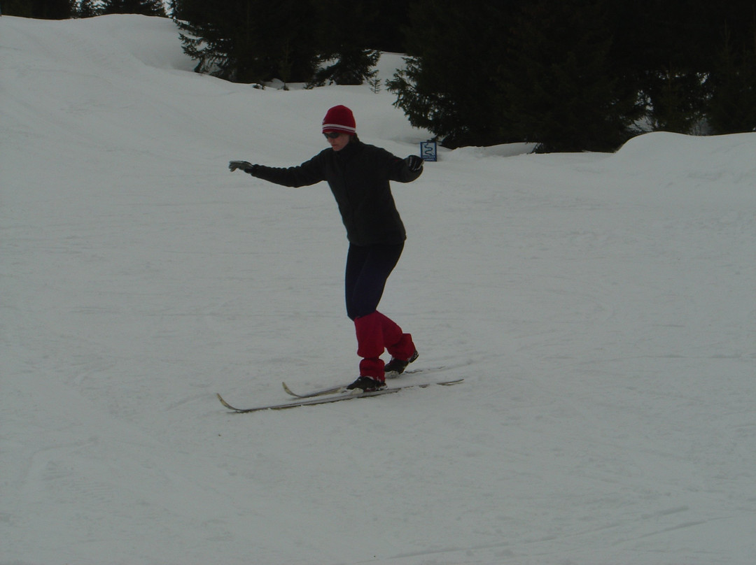 Aktiv I Natur Skiskole-利勒哈默尔必去景点