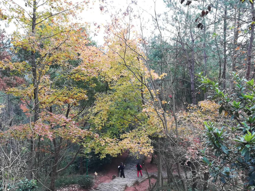 台州赤城山景点图片