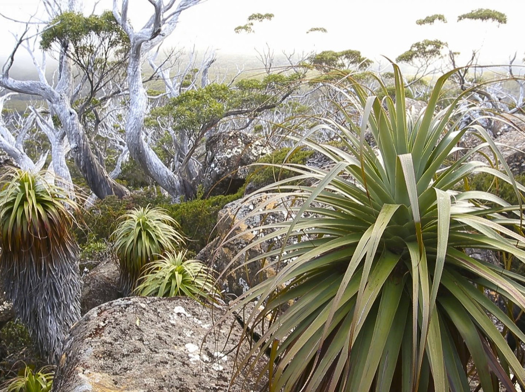 Great Aussie Photo Tours景点图片