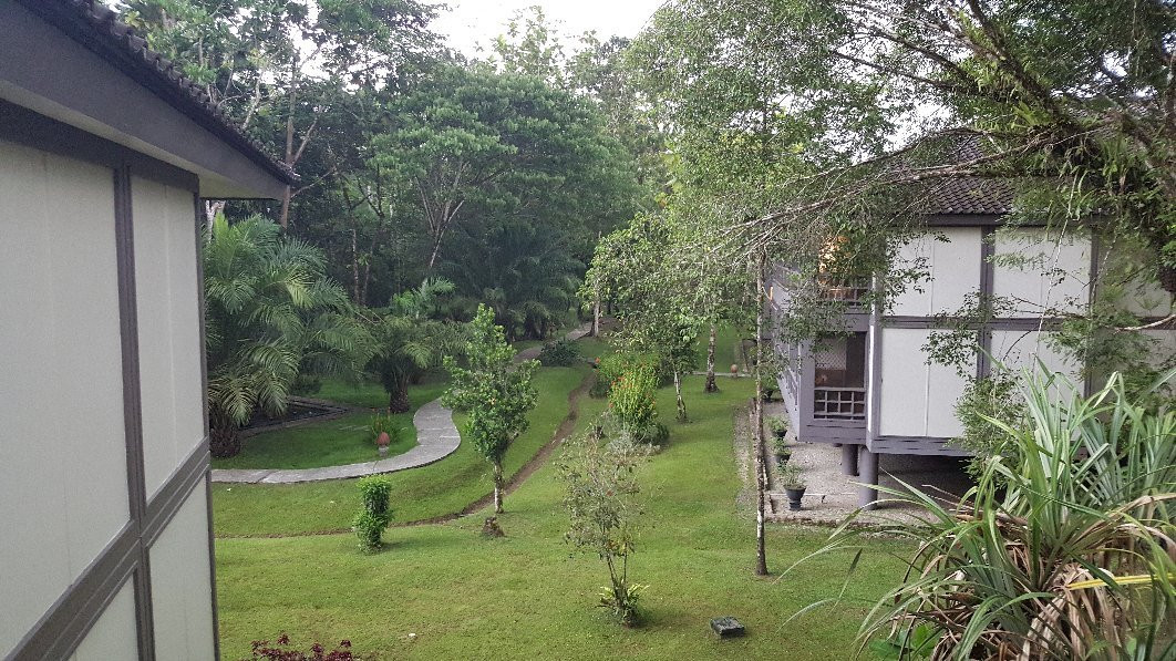 Rimba Papua Hotel主图