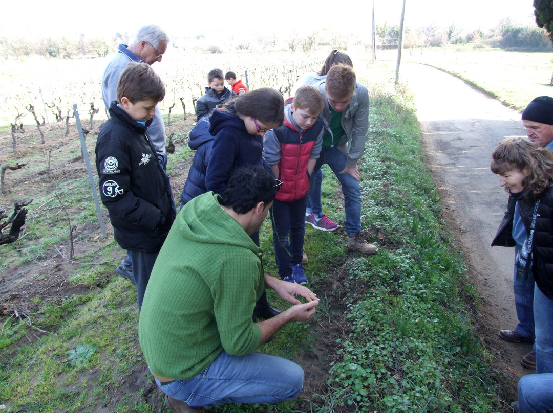 Le Conservatoire du Patrimoine de La Garde-Freinet-La Garde-Freinet必去景点