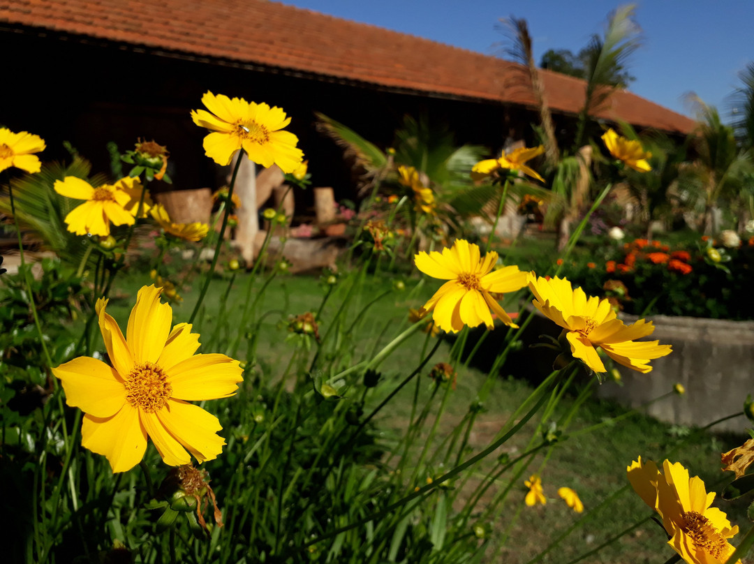 Parque Paraíso das Flores主图