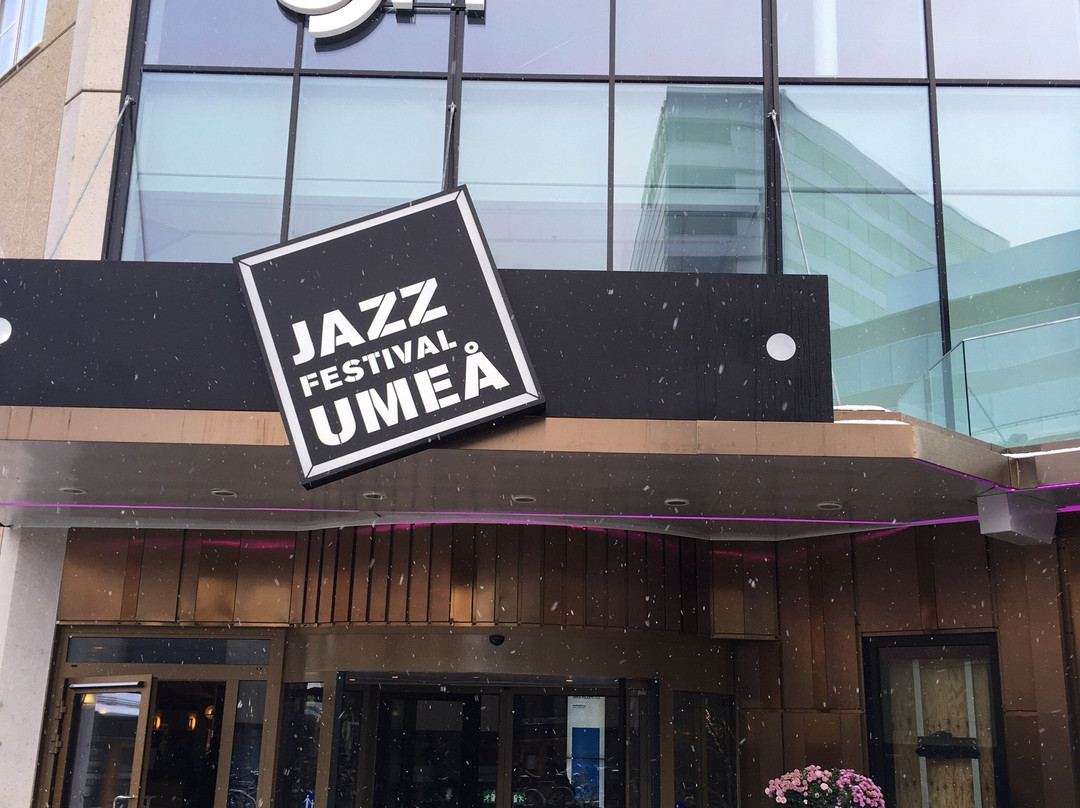 Umeå Folkets Hus-于默奥必去景点