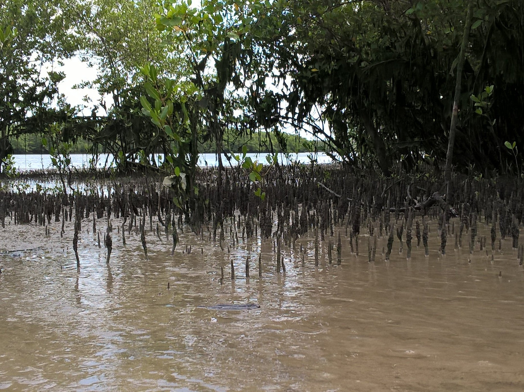 Baronesa Beach (Lagoa)景点图片