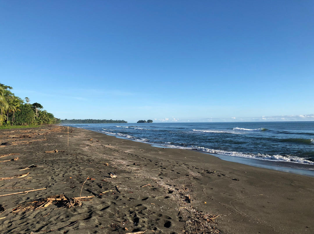 Playa Gandoca景点图片