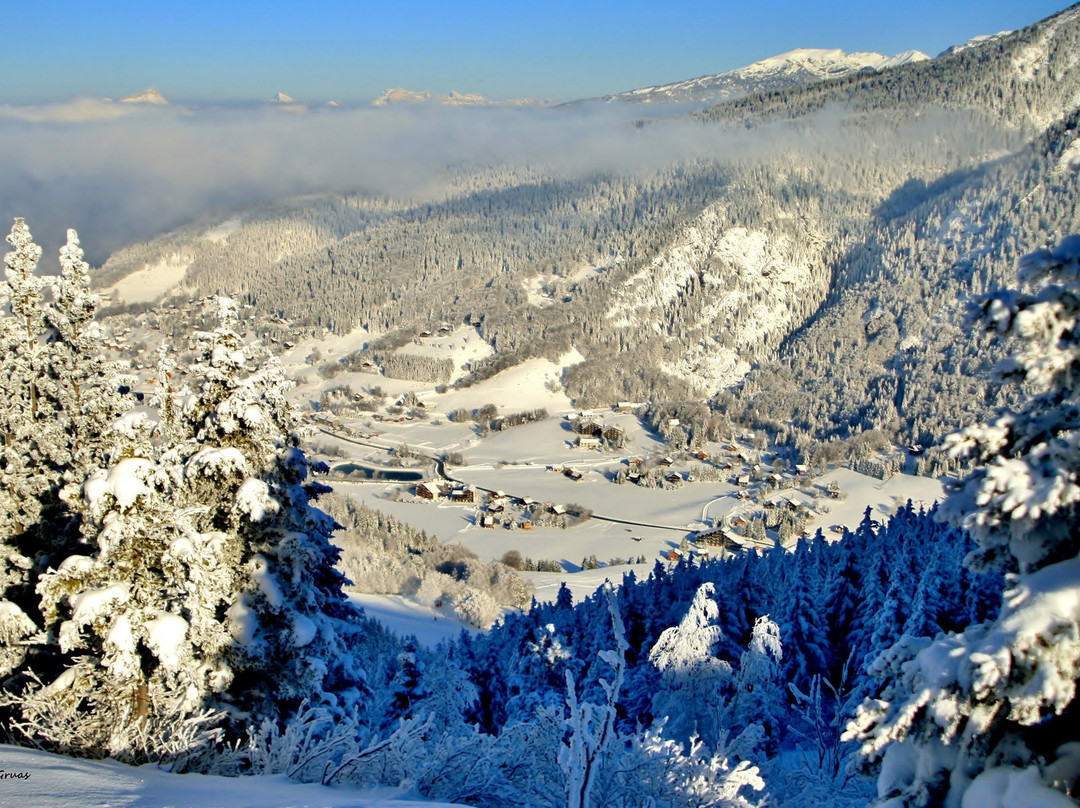 Office de Tourisme de l'Alpe du Grand Serre景点图片