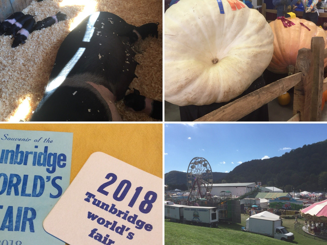 Johnnycake Flats Inn主图