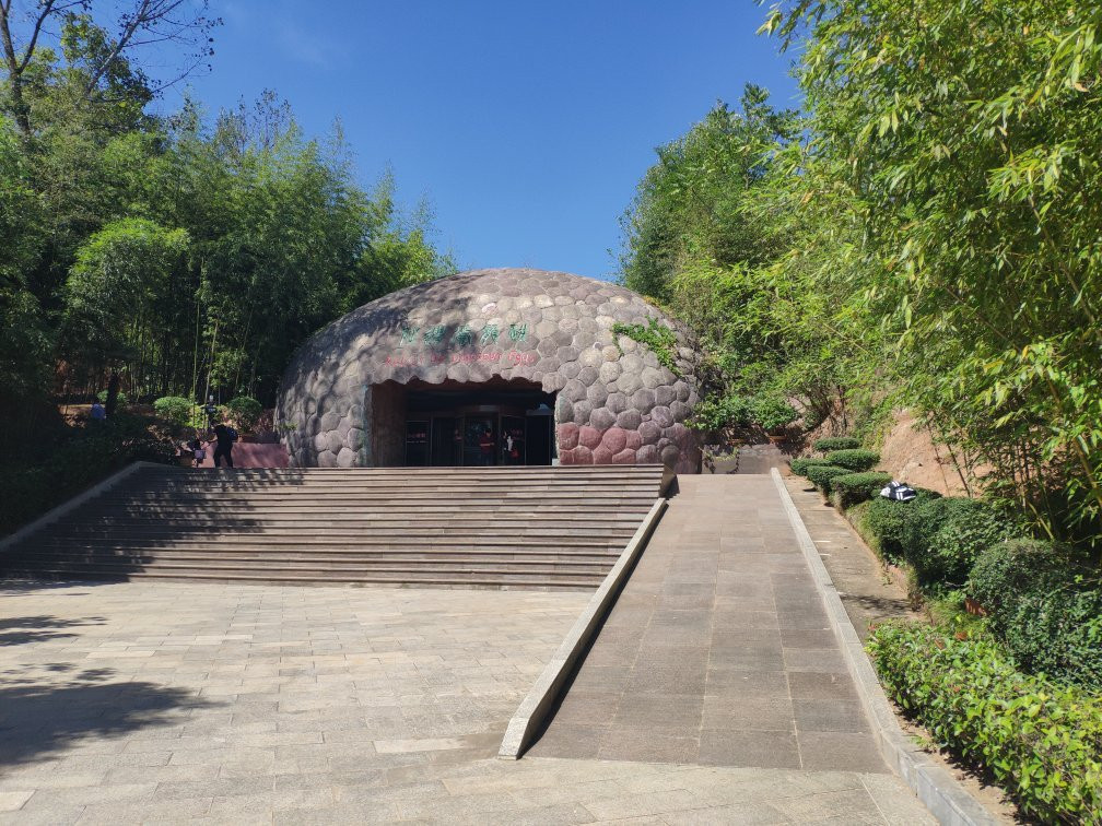 恐龙蛋化石博物馆-西峡县必去景点