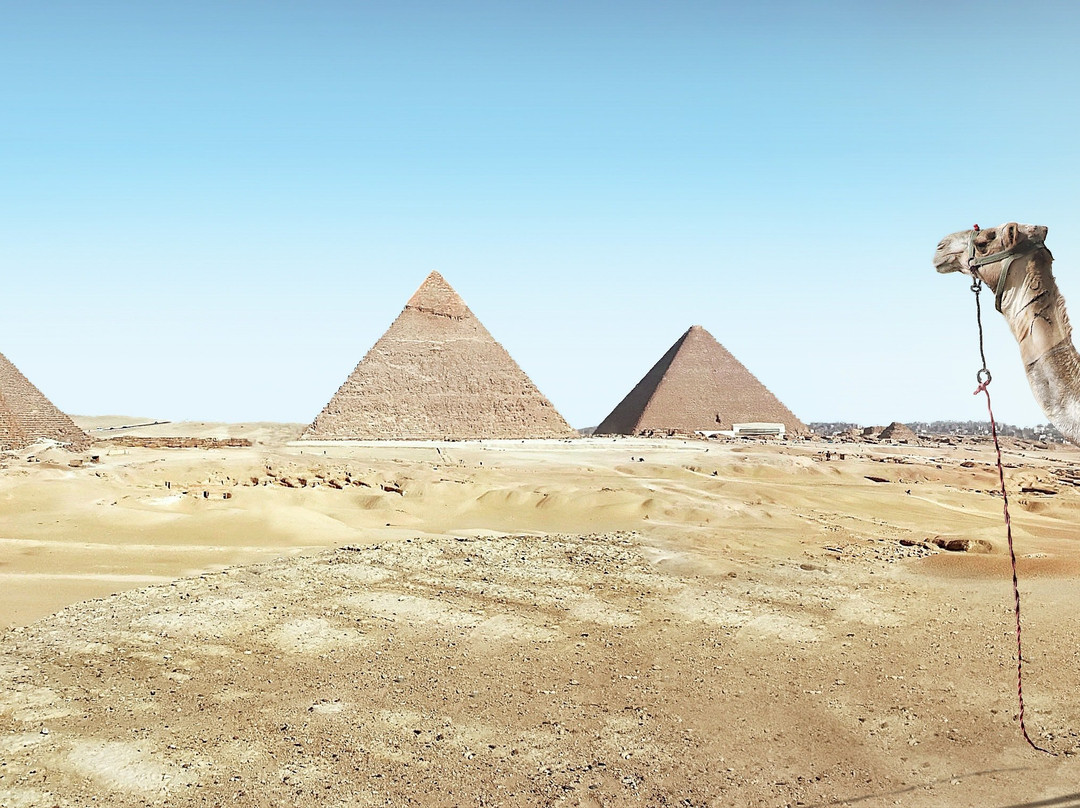 Lama Egypt Tours-开罗必去景点