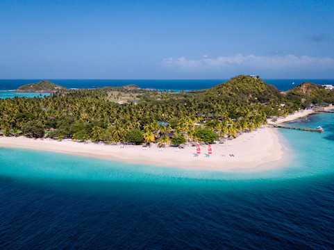 Petit Martinique酒店住宿-Palm Island Resort & Spa