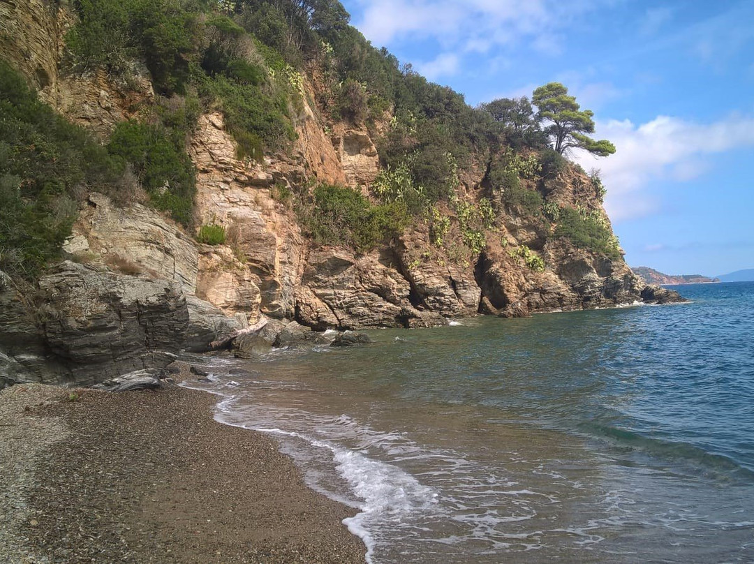 Spiaggia Luisi d'Angelo景点图片