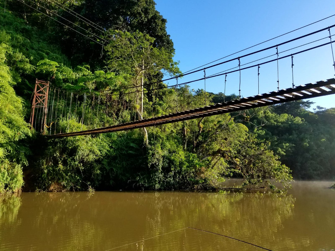 Lago Garzas-Adjuntas必去景点