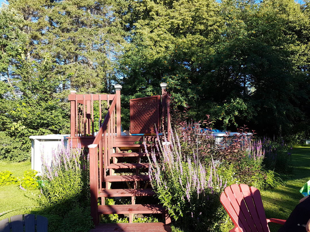 Chateau Murdock Gite et Esthetique 1950主图