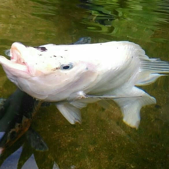 Arco Iris Pousada主图