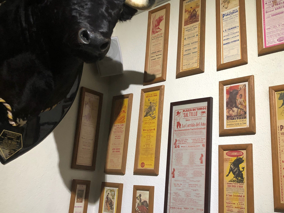 Museo de la Cultura Taurina-萨尔蒂必去景点