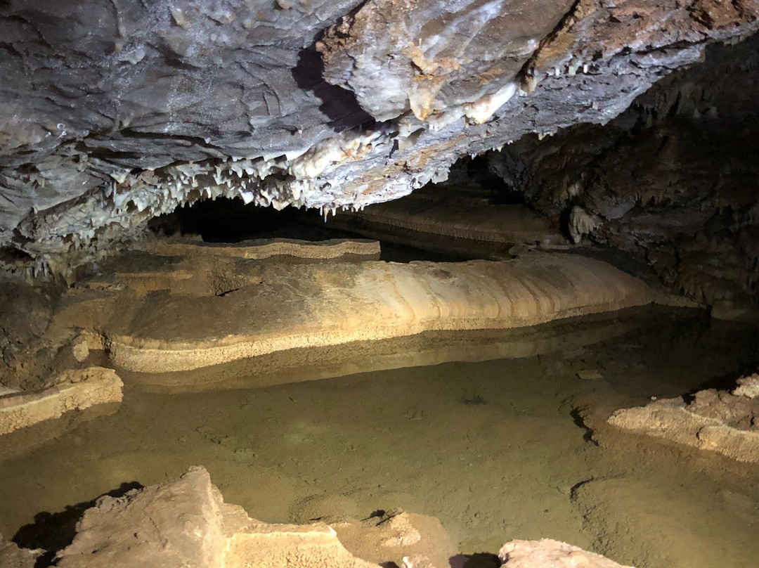 Grotte de Soustelle-Cendras必去景点