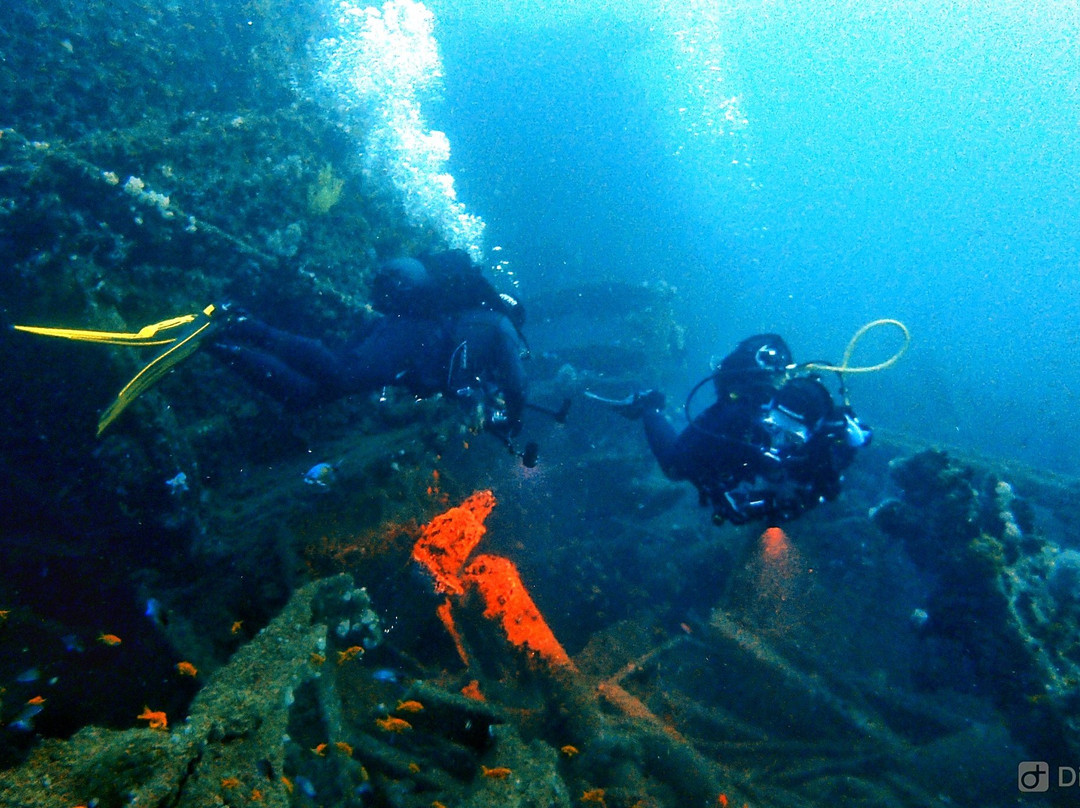 Aqua Wild Africa景点图片