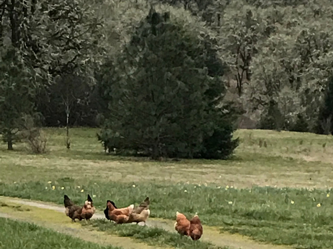 Visit McMinnville-麦克明维尔必去景点