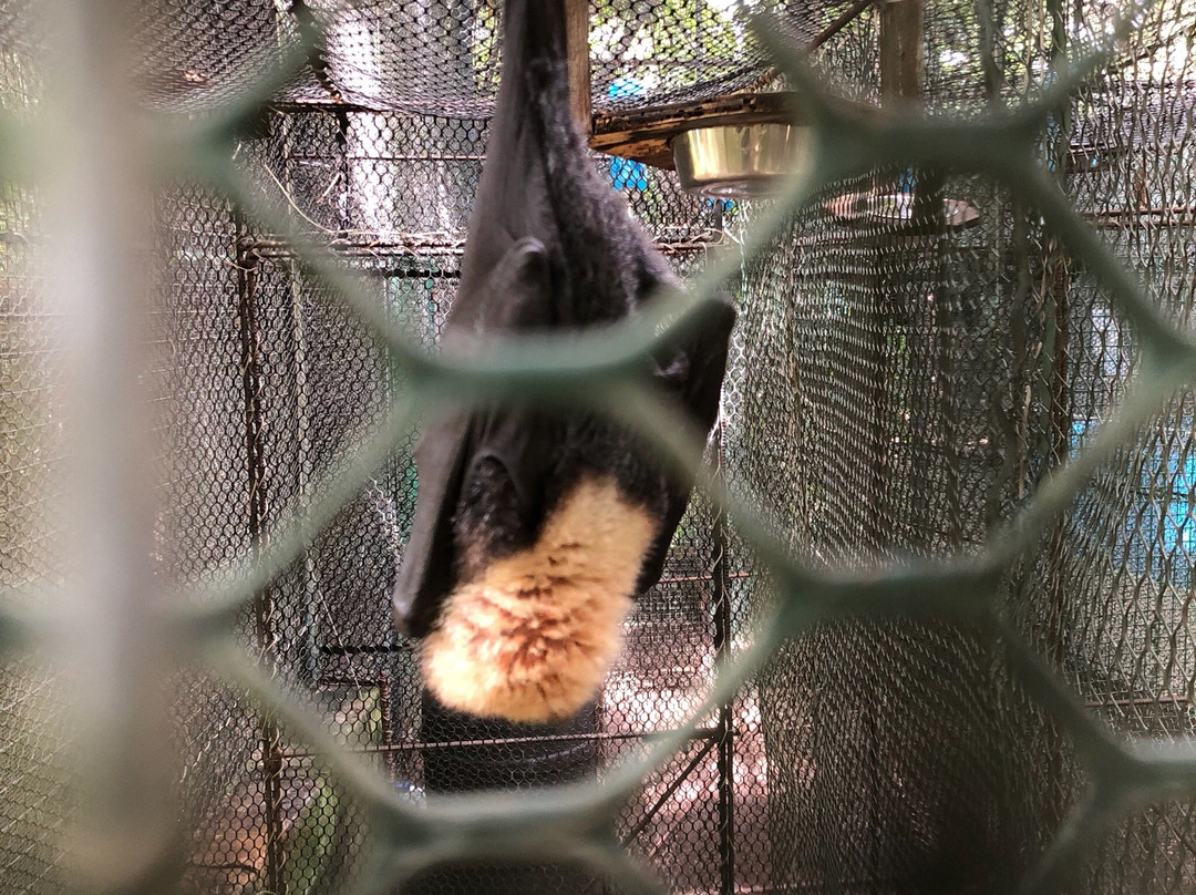 Cushing Zoo-杜梦湾必去景点