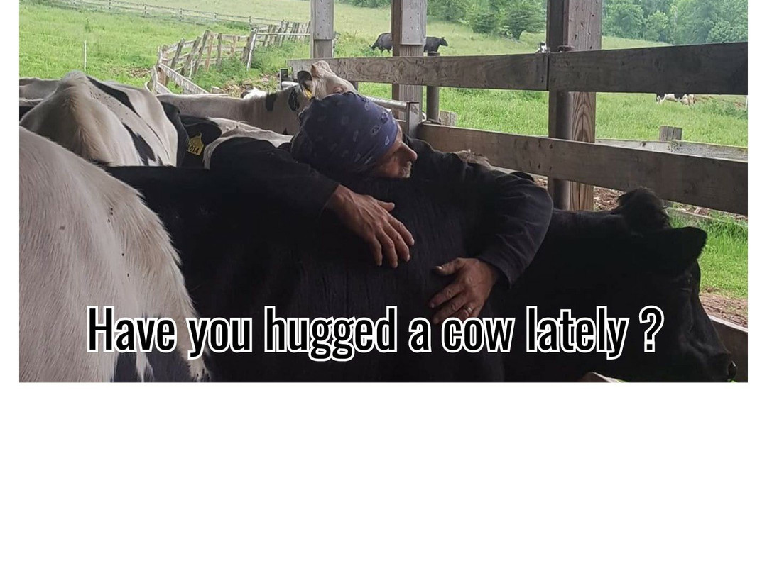 Mountain View Dairy-Bloomville必去景点