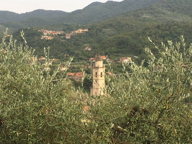 Terre di Garlenda
